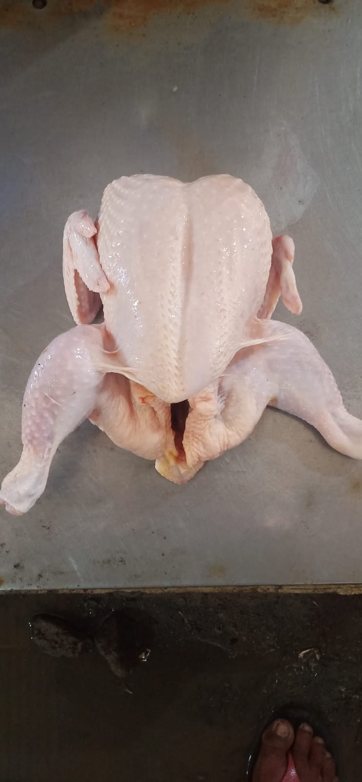 Ayam Utuh Fresh